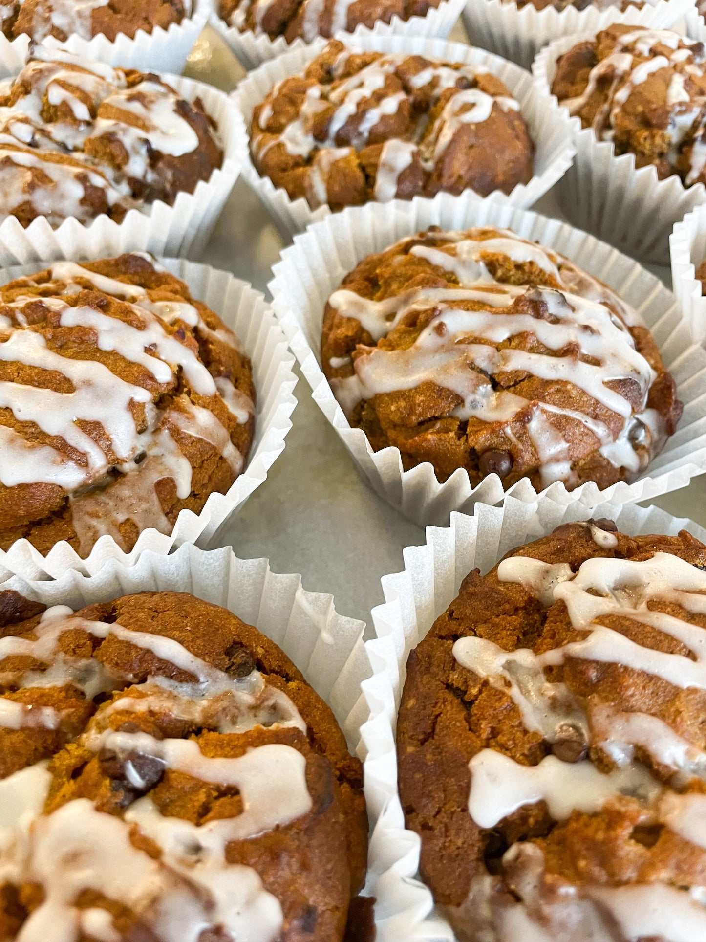 Pumpkin Chocolate Chip Muffins