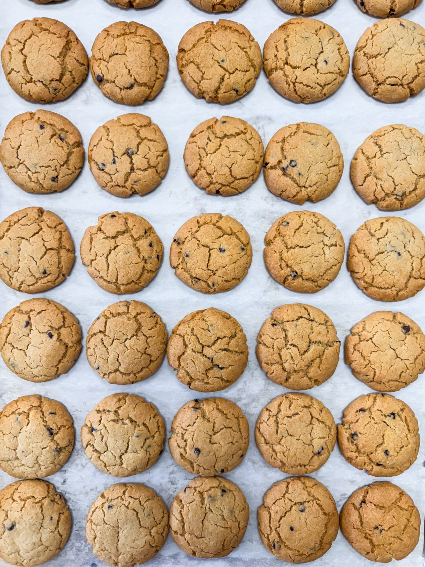 Small Chocolate Chip Cookies