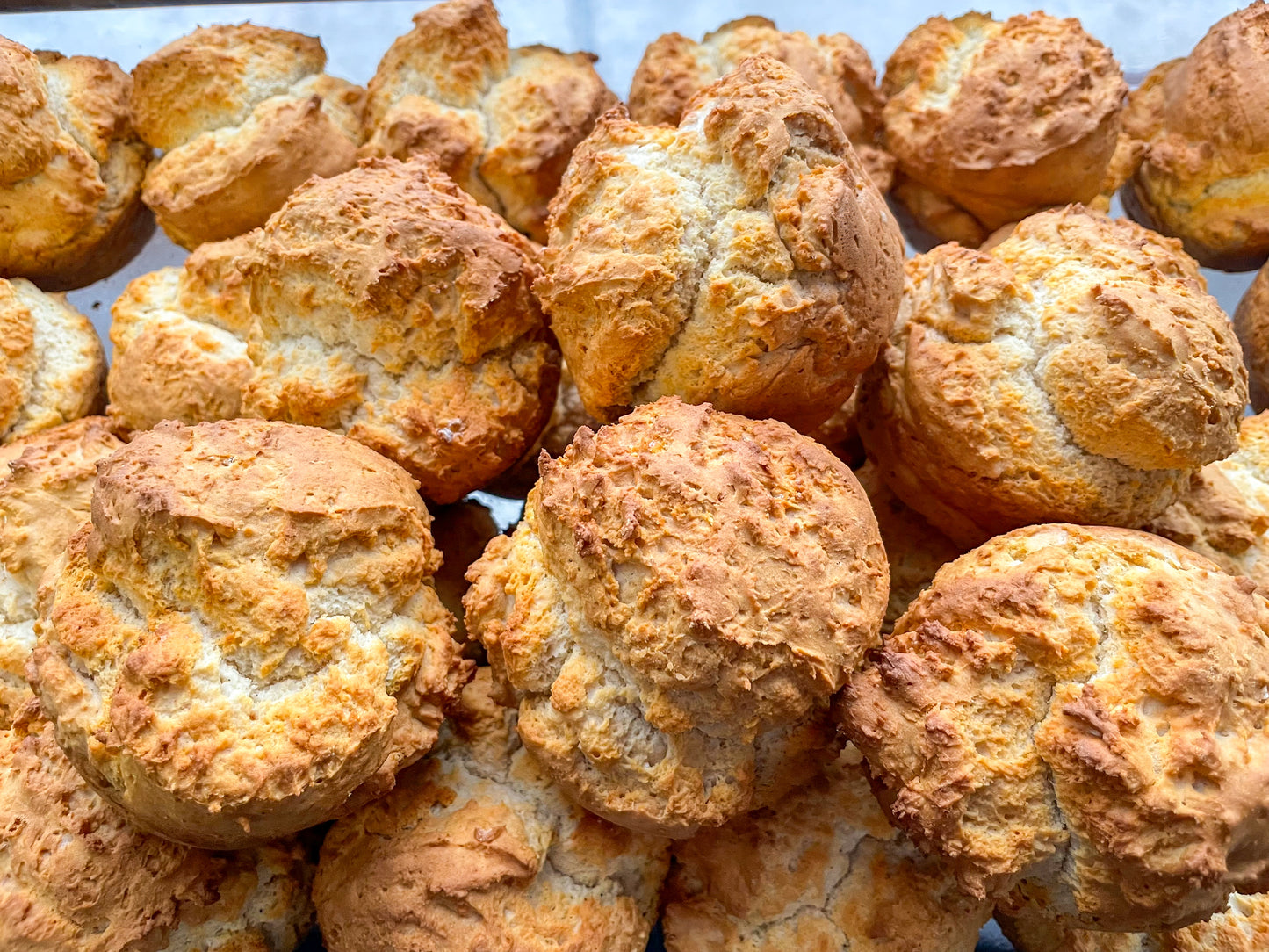 BISCUITS + GRAVY 9/21