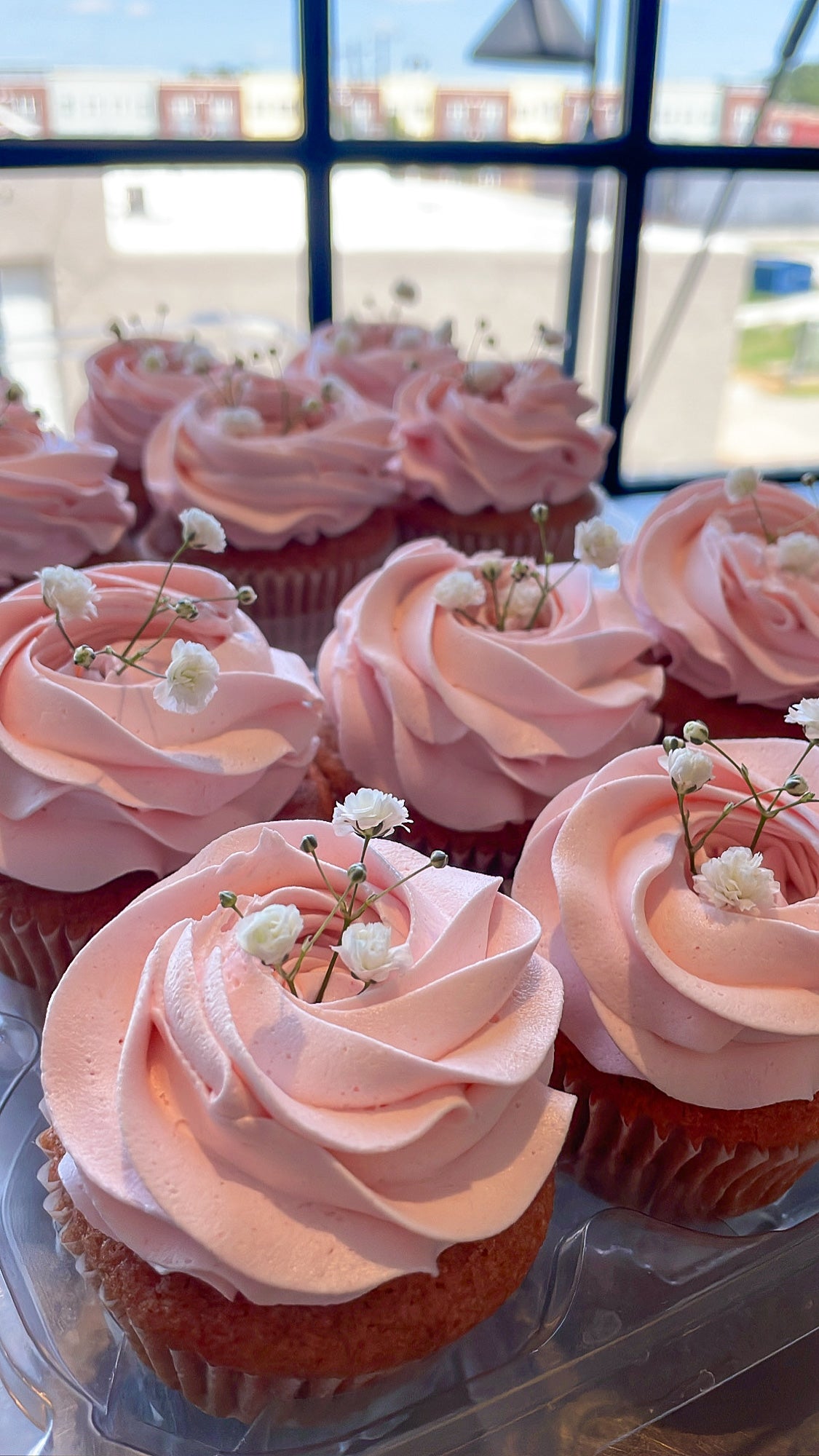 Valentine's Variety Cupcake 6-Pack